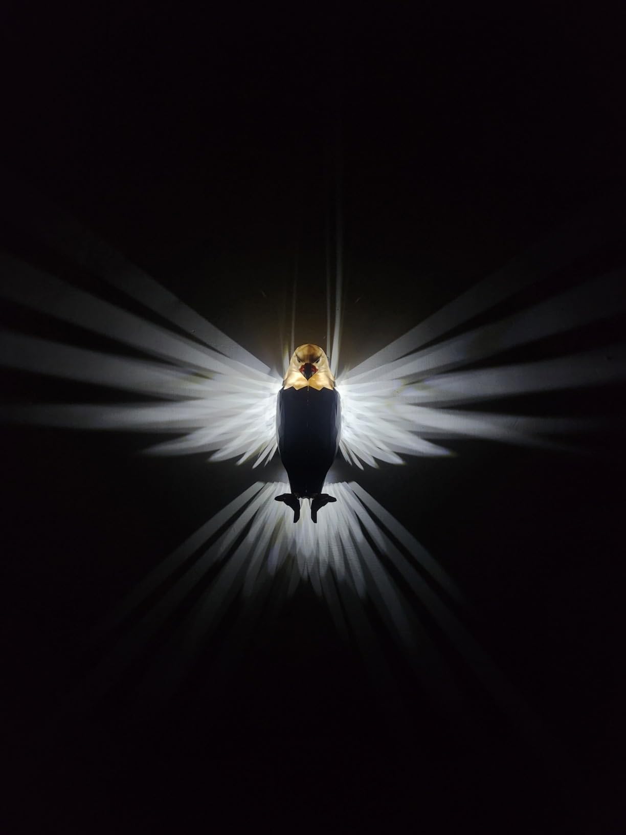 3D Acrylic Eagle Magic Lamp