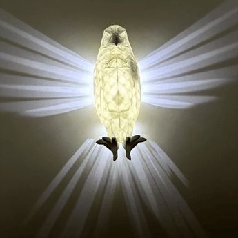 3D EYRANS Acrylic Eagle Magic Lamp